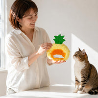 Pineapple Pet Hat Open Face Pet Costume Hat Comfortable Dress up Headwear