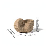 Mineral Conch with Hollow Top Textured Beach Conch Statue Coastal Figurine for Coffee Table