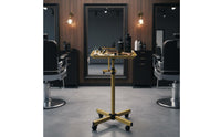 Mobile Tool Stand Stable Base Hair Stylist Tray Stand Adjustable Rolling Salon Tray for Barbers