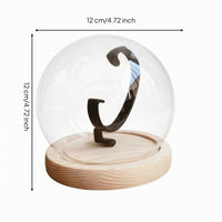 Single Watch Showcase Lightweight Watch Dome Display Modern and Minimalist