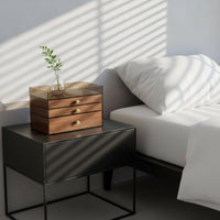 Multi-Tier Jewelry Organizer Allergen-Shield-Resistant Jewelry Storage Case with Compartments Wood Grain Storage Box Clear View