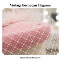 Feather Fascinator with Mesh Vintage Design Feather Fascinator Headpiece Birdcage Mesh Hat Elegant Design Retro Derby Hat