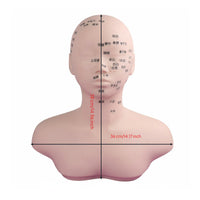 Realistic Skin Feel Acupressure Point Practice Model Soft Material Manikin Head Shoulder Bust Professional Grade for Students, Beauty School