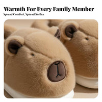 Capybara Plush House Shoes, Closed Back, Unisex, Cute Winter Indoor Slippers