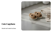 Capybara Plush House Shoes, Closed Back, Unisex, Cute Winter Indoor Slippers